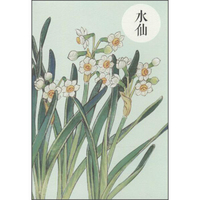 祝大年格调笔记系列：水仙