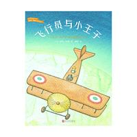 飞行员与小王子（世界插画大师彼得·西斯经典绘本）