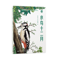 小鸟十二月（魔法象·故事森林·小书房）