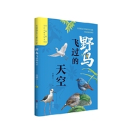 中国原创生态儿童文学书系 野鸟飞过的天空