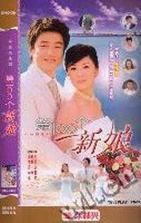 (压缩版)中韩偶像剧 第100个新娘 4碟装(DVD)