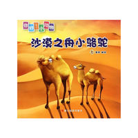沙漠之舟小骆驼