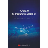 飞行原理相关典型安全问题研究