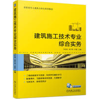 建筑施工技术专业综合实务    万巨波 彭子茂 许磊