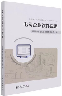 电网企业软件应用