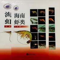 海南虾类