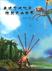 走进宁城化石：探秘远古世界