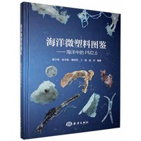 海洋微塑料图鉴——海洋中的PM2.5