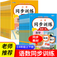 数学口算题竖式应用题天天练六年级上册人教版思维强化练习数学专项训练小学同步练习册 全套3本