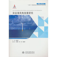 深远海风电发展研究（中国海上风电丛书）