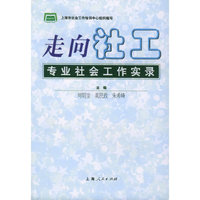 走向社工：专业社会工作实录