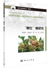 聊红槐研究-现代生物农业.园林