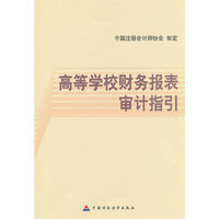 高等学校财务报表审计指引