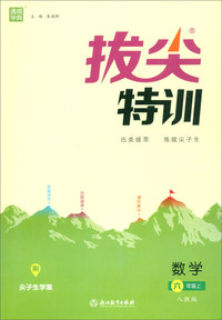 通城学典·拔尖特训：数学（六年级上 人教版 附尖子生学案）