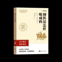 初中名著 钢铁是怎样炼成的